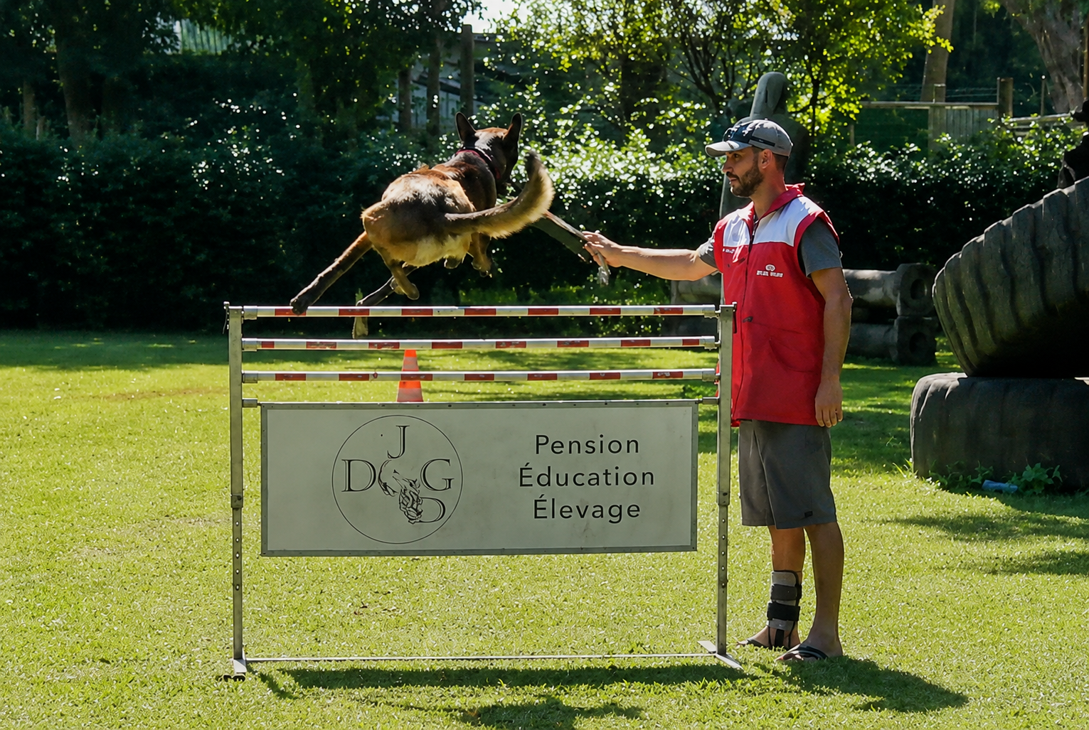 MyHub.dog sur La 1ère - professionnels canins en Nouvelle-Calédonie