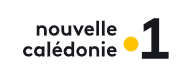 NC 1ère - Reportage MyHub.dog