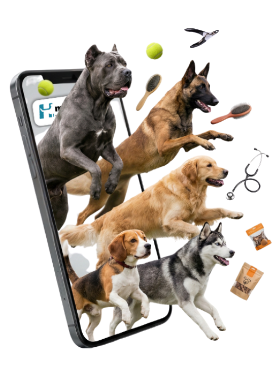 Aperçu de l'application mobile MyHub.dog pour les services canins en Nouvelle-Calédonie